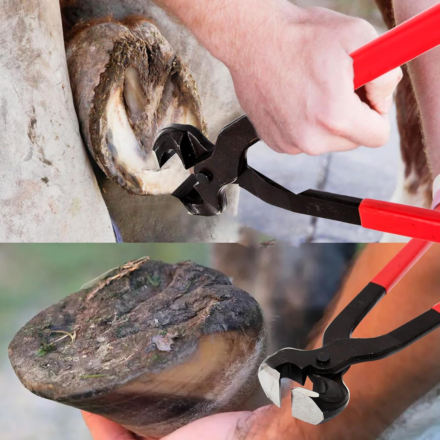 Horse Hoof Nipper, 16 Inches Hoof Trimming Nipper,Horse Nail Clippers for Horses,Sheep,Goats,Alpacas,Veterinarians,Farm Supply - Image 2