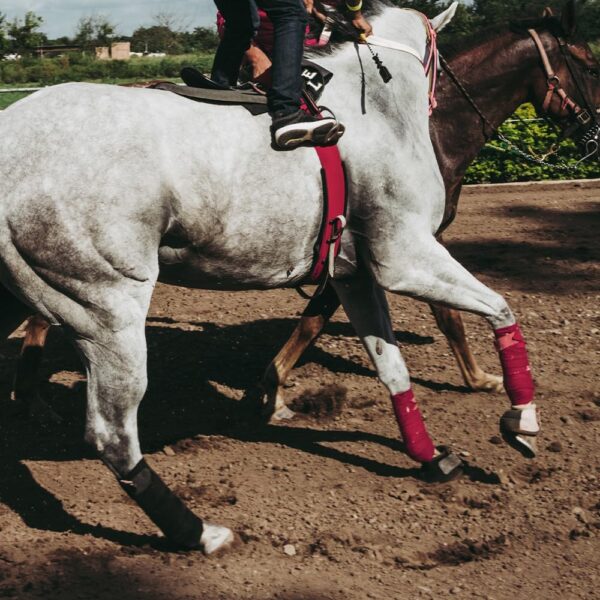 Horse Polo Wraps 2.5m Soft Fleece Polo Wraps Equestrian Leg Bandage Wrap Set of 4 Packs (Red - 2.5m) - Image 7