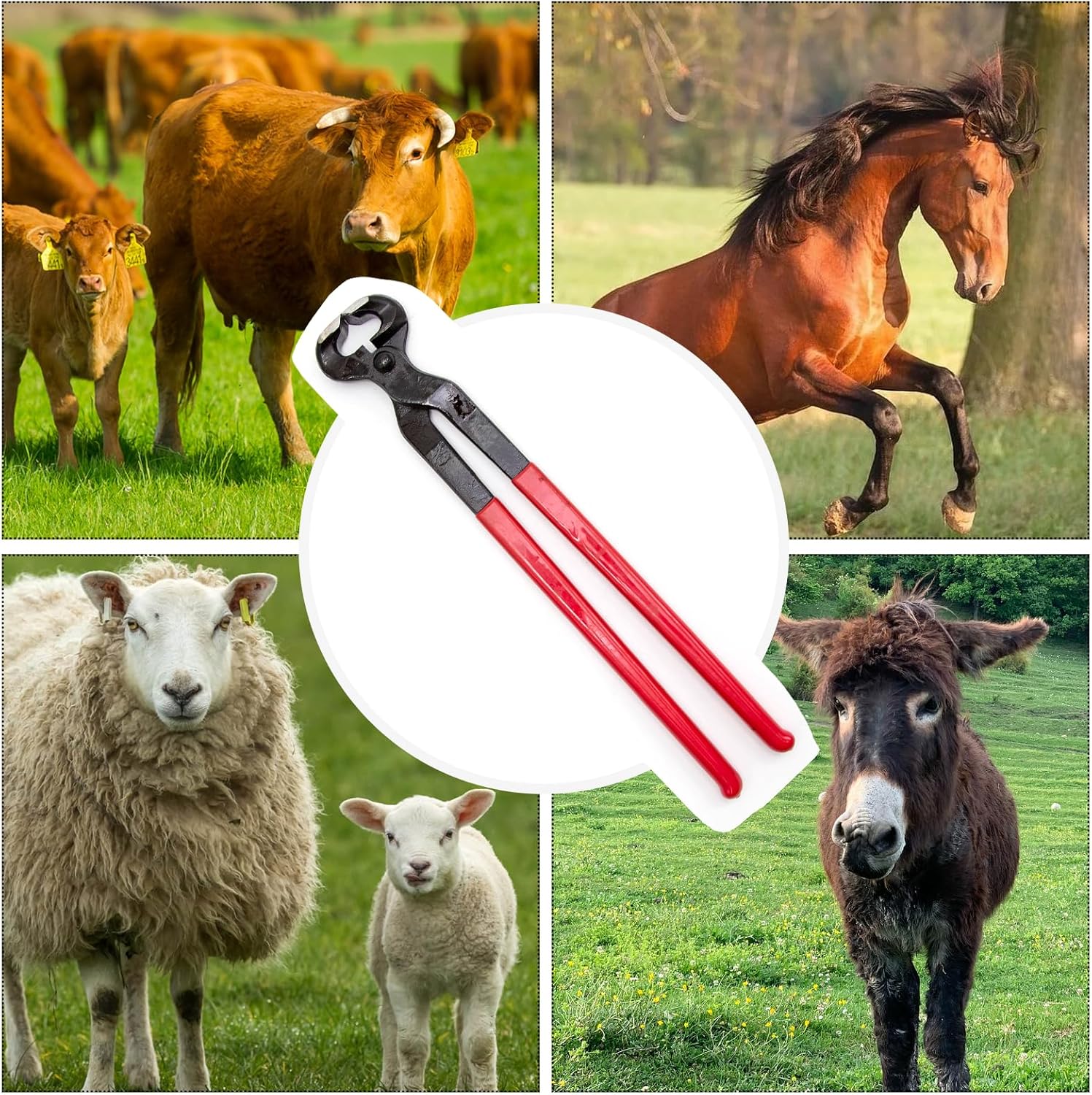 Horse Hoof Nipper, 16 Inches Hoof Trimming Nipper,Horse Nail Clippers for Horses,Sheep,Goats,Alpacas,Veterinarians,Farm Supply - Image 4